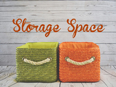 Logo Storage Space S.A.S