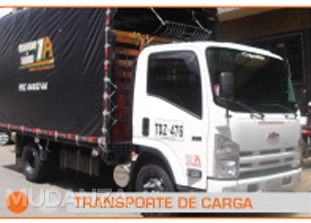 Transporte de carga