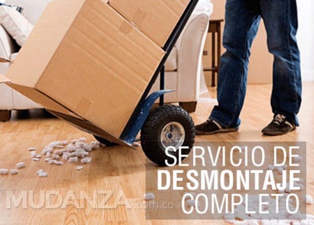 Servicio de desmontaje