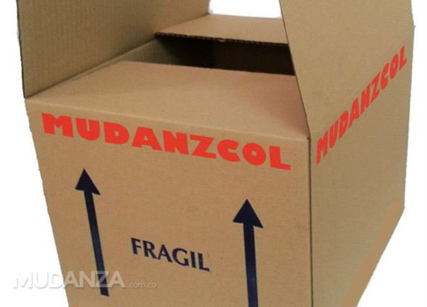 Mudanzcol3