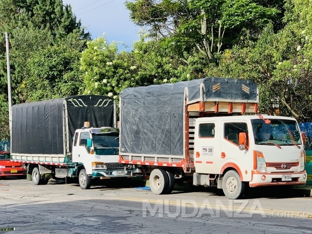 Mudanzas trasteos y acarreos bogota