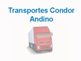 Transportes Condor Andino Limitada